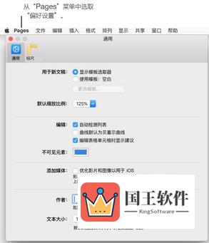 Pages偏好设置