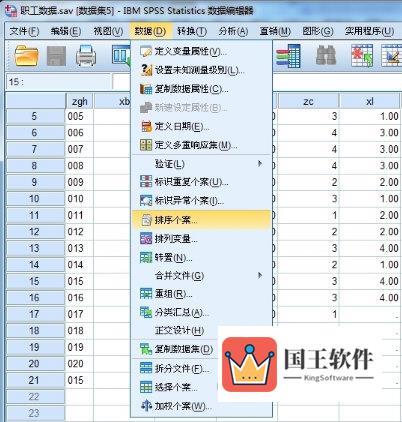 SPSS建立数据排序个案