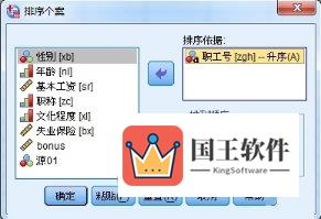 SPSS选择排序依据