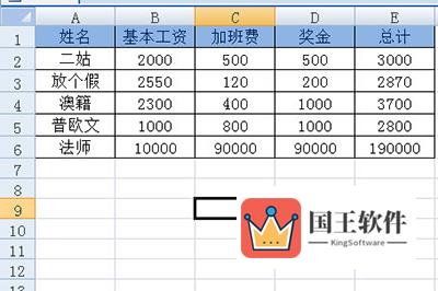 拥有5名员工的工资表