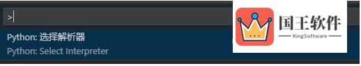 选择python解释器