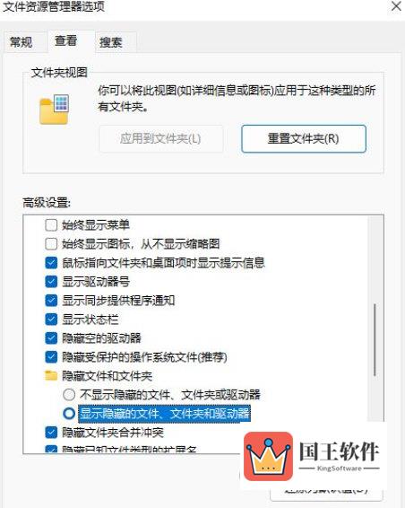 Window11隐藏文件怎么显示出来