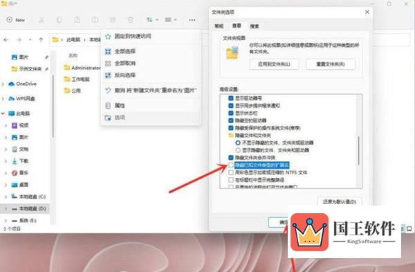 Windows11怎么显示文件后缀名