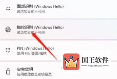 Windows11怎么设置指纹解锁