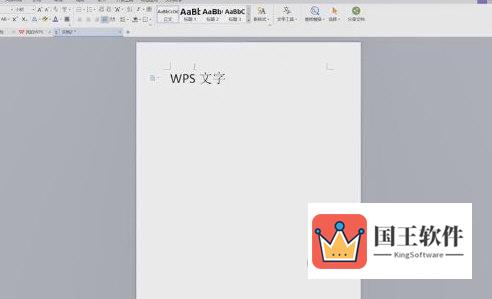 WPS2019怎么显示字符