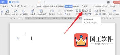 WPS2019怎么插入图片控件