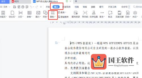 WPS2019怎么插入图标