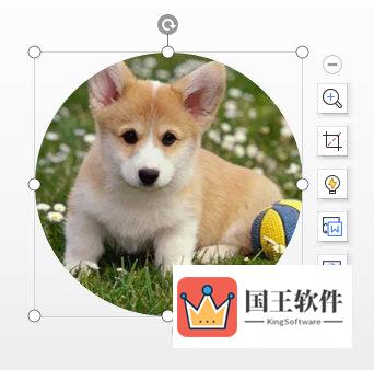 WPSPPT怎么把图片变成圆形